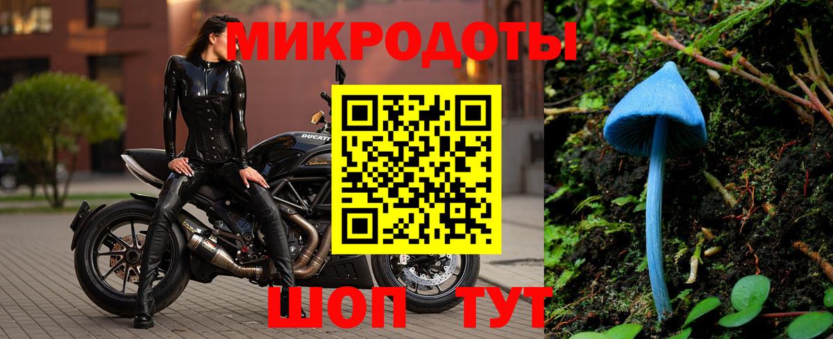 Туапсе  Псилоцибиновые грибы Psilocybe  Вход с VPN 